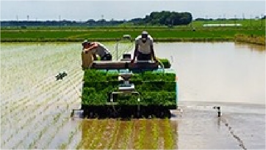 初心者でも<br />
プロ並みの田植えができる！